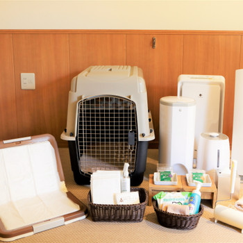 愛犬用のお食事や犬用アメニティが充実！ワンちゃんファーストの宿3927755