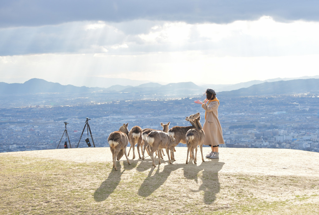 せっかくのひとり旅。お洒落なホテルに泊まりませんか？4264302