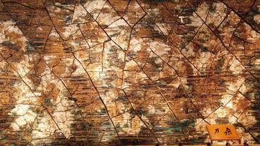 リビング エリア / 11