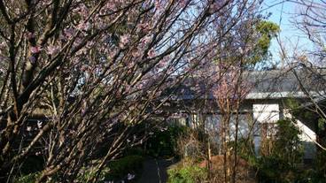 施設の敷地 / 20