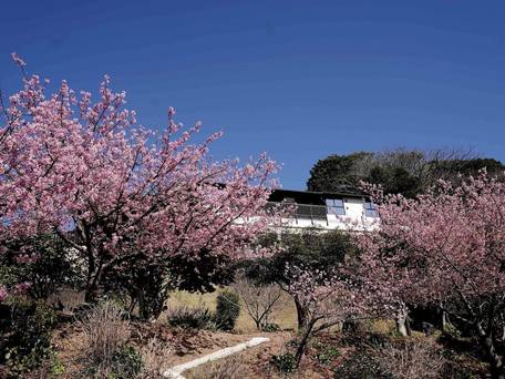 今井浜温泉 桐のかほり 咲楽 / 4
