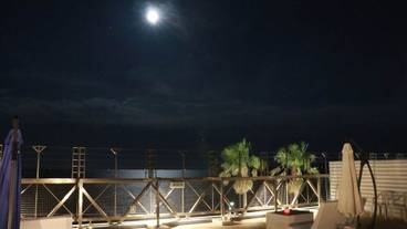 テラス / パティオ / 15