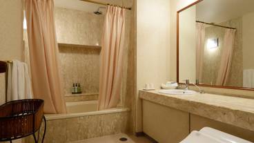 ● Suite room / bathroom / 15