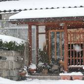 民宿 わだ（京都府 民宿） / 5