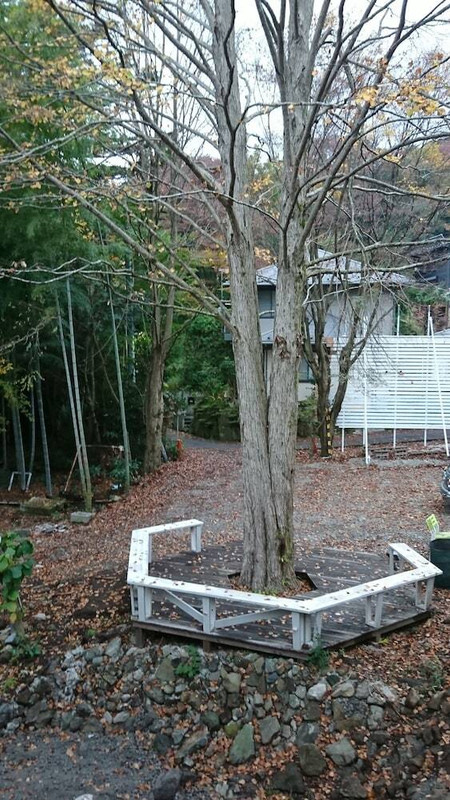 部屋からの景観