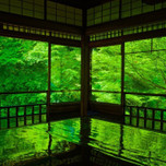 【京都】初夏の京都旅は、新緑まぶしい「青もみじ」で決まり!名所7選