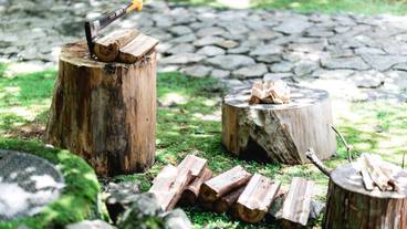 子供向けアクティビティ / 5