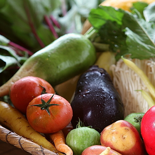 箱根七瀬（ハコネナナセ） / 6