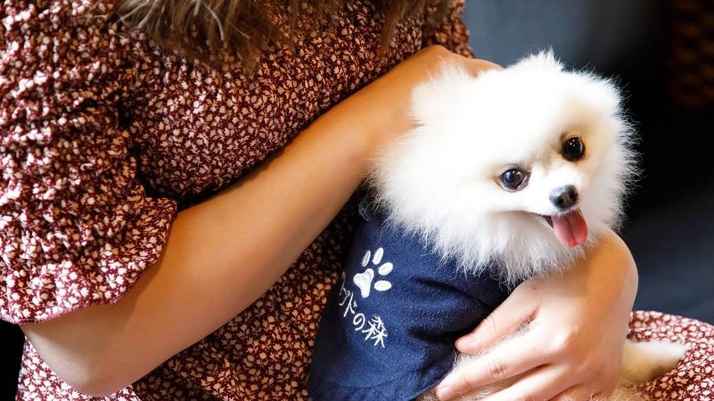 愛犬用アメニティが
いっぱいのお部屋へ
 / 5