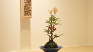 露天風呂付和室 デラックスダブル 禁煙