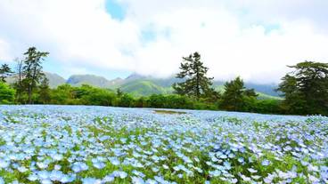 観光スポット / 5