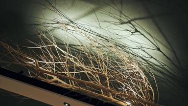 レストラン / 12