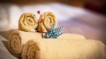 客室の設備とサービス / 30