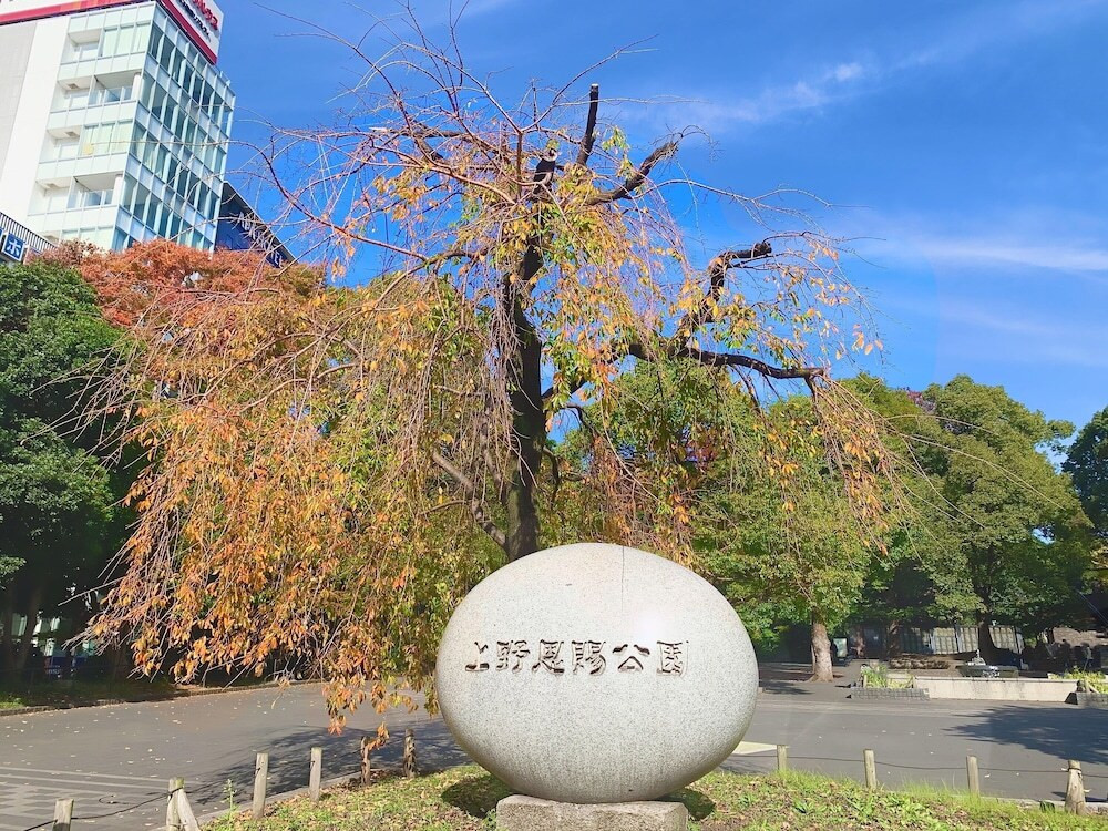 観光スポット