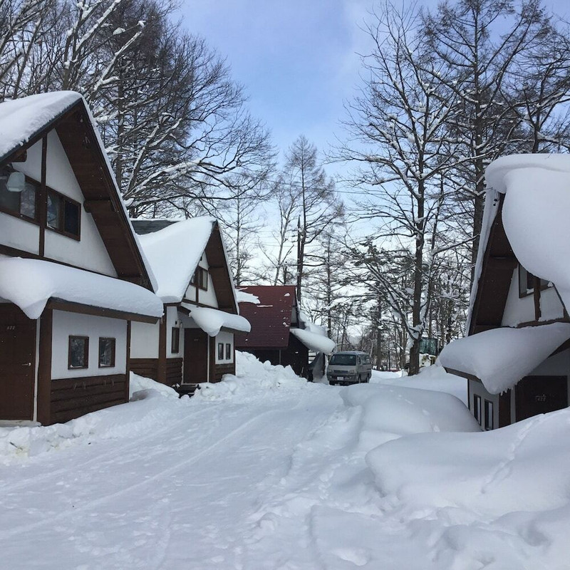 メイン イメージ