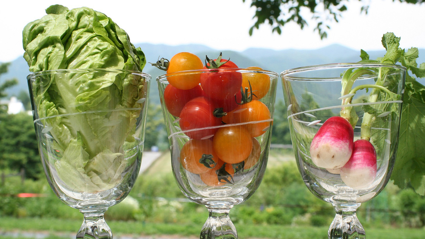 新鮮野菜