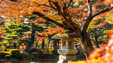 兼六園の紅葉 / 2