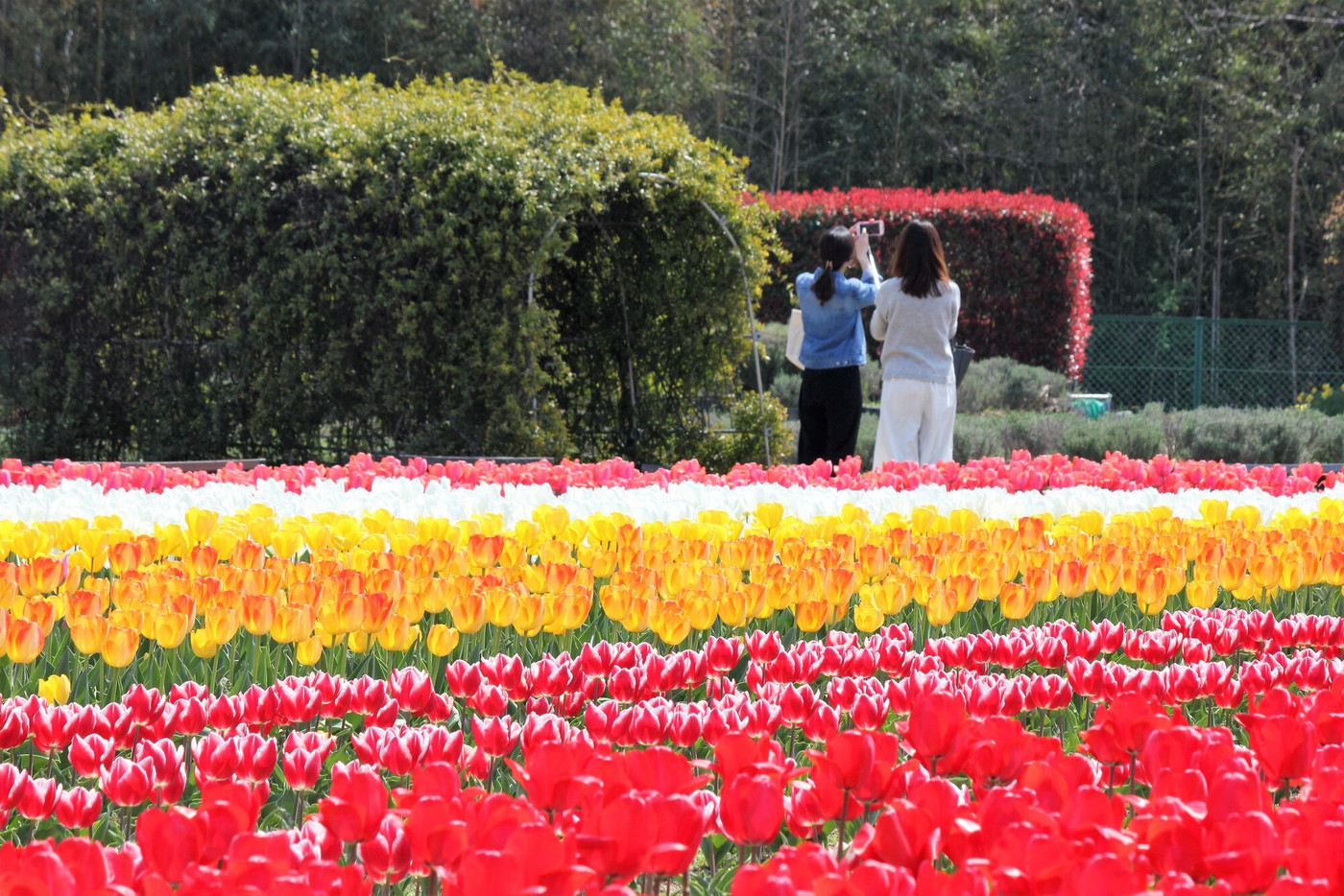 自撮り撮影する女性2人