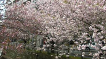 施設の敷地 / 17