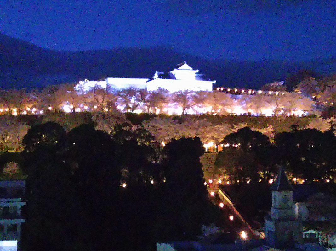 部屋から見るライトアップの津山城