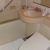 ニューウェルシティ宮崎（宮崎県 シティホテル） / 4