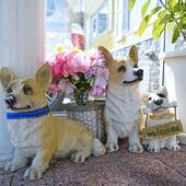 ペンション 亜留芽利亜（北海道 ペンション） / 4