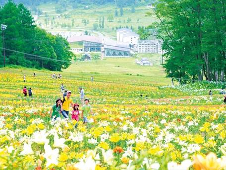 ホテルハーヴェスト斑尾 / 3