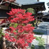 宿坊 常喜院（和歌山県 旅館） / 4