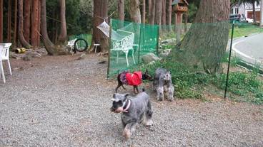 施設からの眺望 / 8