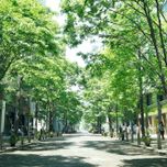 【東京】GWのおでかけに♪感性を磨くのんびり丸の内さんぽ