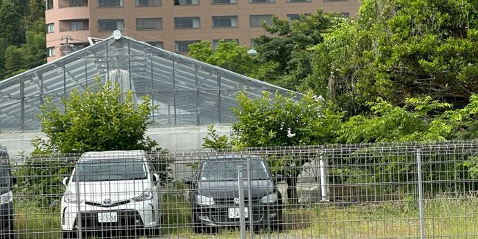 浜名湖わんわんパラダイスホテル(静岡県 旅館) / 1