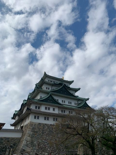 amicobearさんの写真 / 2