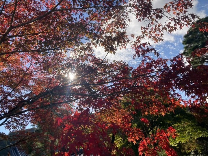 tabi_nikki2525さんの写真 / 2