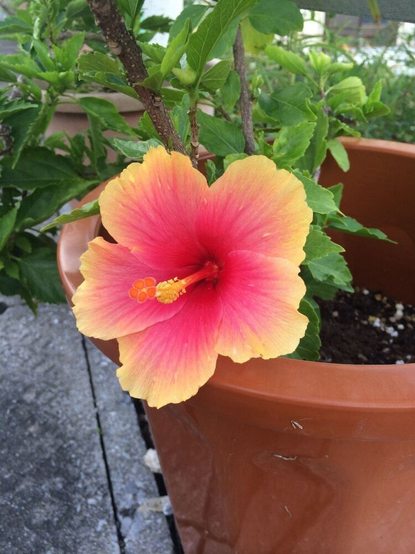 施設からの眺望