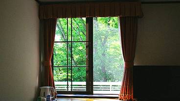 部屋からの景観 / 31