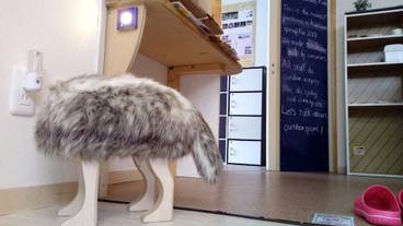 内部エントランス / 2