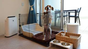 ペット用設備・サービス / 2