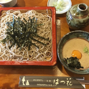 「はつ花 新館」料理 1156198 