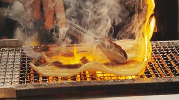 レストラン / 29