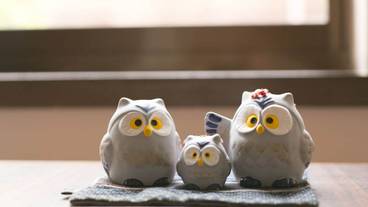 内装の詳細 / 11