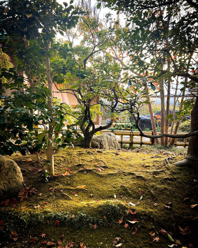 aya_ayaaa_さんの写真 / 2