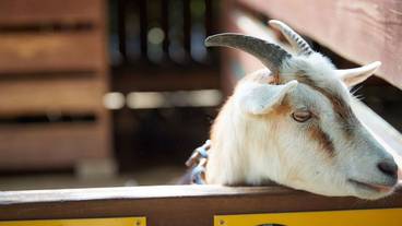 施設内の設備 / 12
