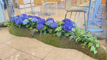 内部エントランス / 3