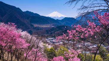 大月 春の風景 / 3