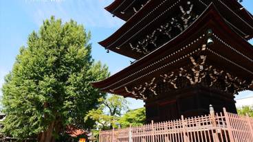 観光スポット / 17