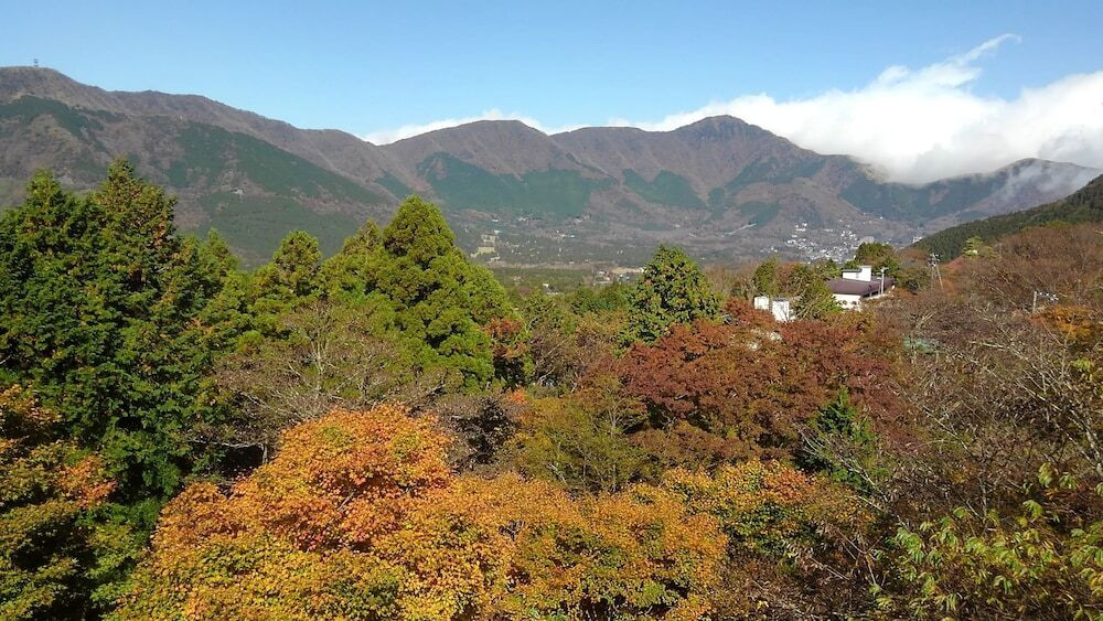 部屋からの景観