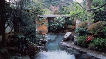 天然プール / 16