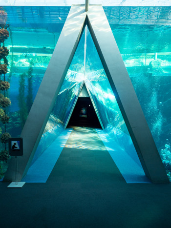 潮目のトンネル　撮影許可・協力：アクアマリンふくしま