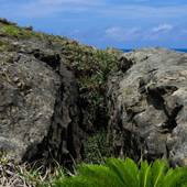 アイランドホテル与那国＜与那国島＞（沖縄県 リゾートホテル） / 5