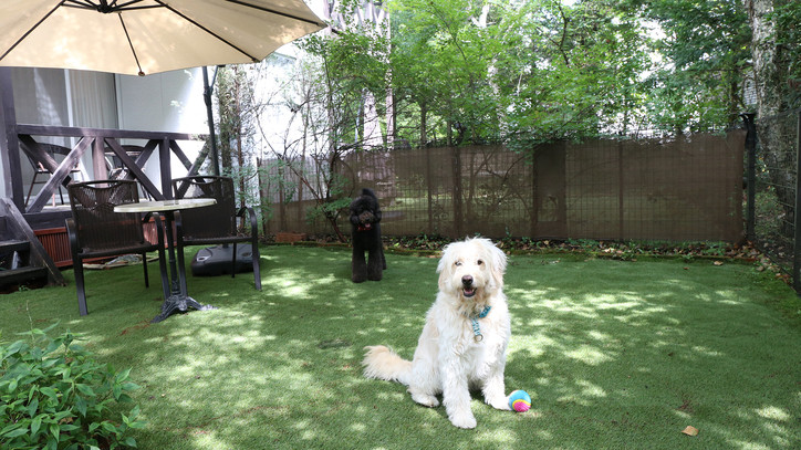 愛犬家のカップルにおすすめ!全室同伴OKのくつろぎリゾートホテル3532799
